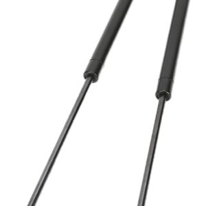 Trunk Gas Shock Strut