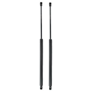 Lift struts