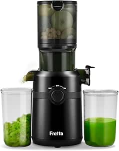 Fruit juicer