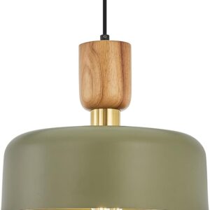 Contemporary Pendant Lighting,12 inch (bulb not included)