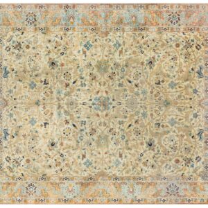Persian Rug 5x7ft (pretty close)