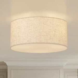 Semi flesh mount Ceiling light