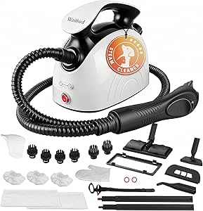 Steam Cleaner,Multi-Purpose Steam Engine