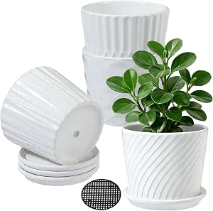5.5 Inch Cylinder Ceramic Planters set of 4