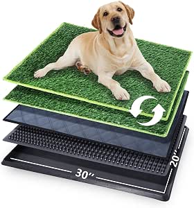 20″x30″ Dog Grass Pee Pad with Tray