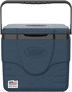 Coleman Chiller™ 9-Quart Portable Cooler